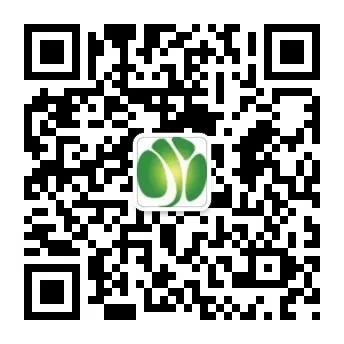 大連(lián)生物質鍋爐 大連生物質鍋爐(lú)
